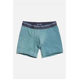 Marine Layer Mens Air Boxer Briefs Teal Green Recycled Polyester Stretch Small